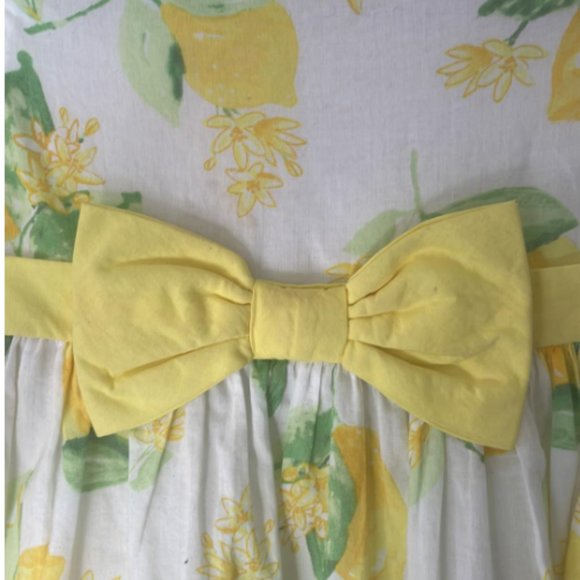 Charming Lemon Print Dress perfect for Easter by Gymboree, Size 4T - Picture 3 of 5